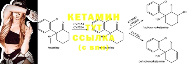 ешки Вязьма