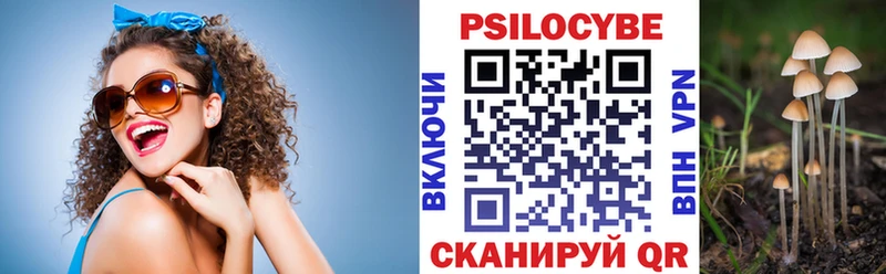 где купить наркоту  Мариинский Посад  Галлюциногенные грибы GOLDEN TEACHER 
